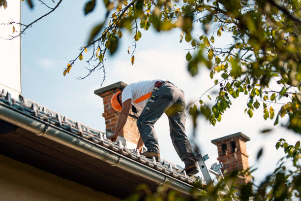 Best Storm Damage Roof Repair  in Lebanon, IN